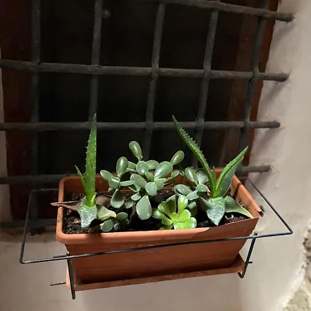 Cortili Himeresi Affittacamere